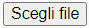 scegli.png